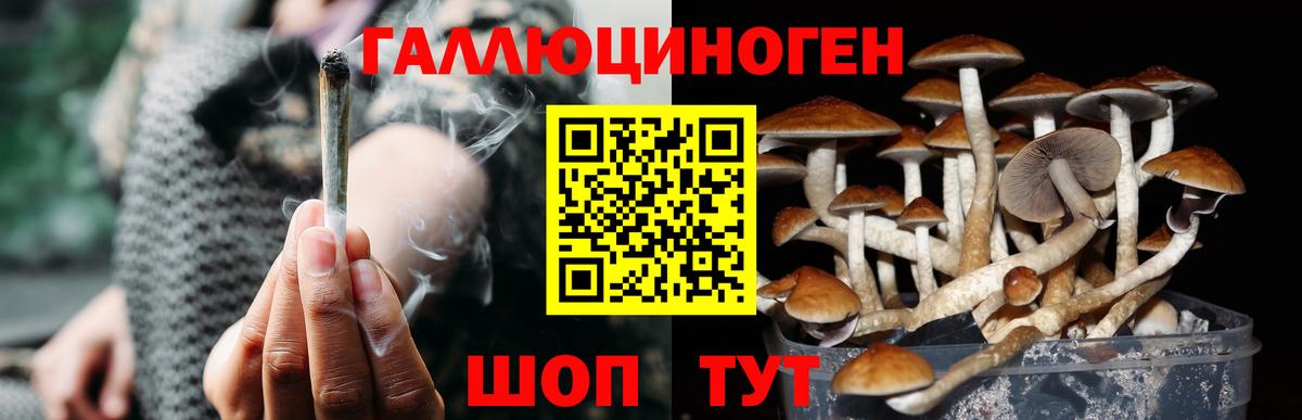 что такое наркотик  Псилоцибиновые грибы мицелий  Вход с VPN  Барнаул 